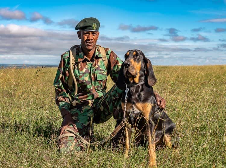 dog at anti poaching unit