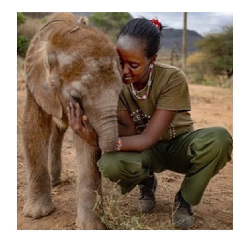Reteti Elephant Sanctuary is a Samburu community owned and run wildlife sanctuary in Northern Kenya.