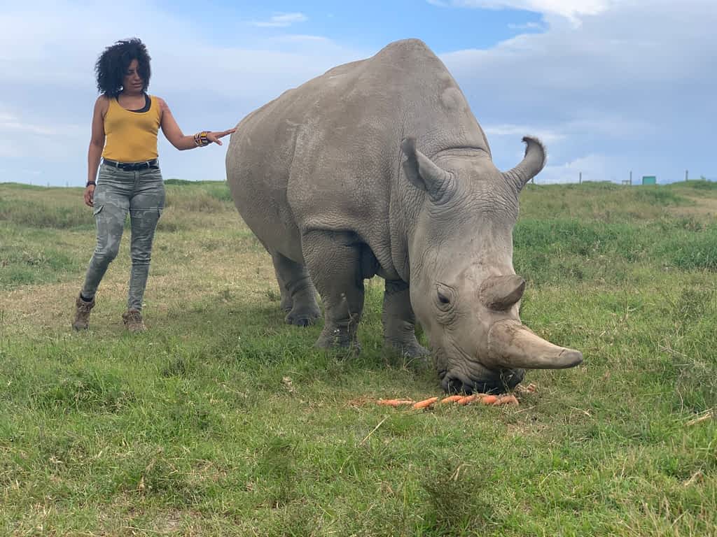 karoline hood with one of the last tho northern white rhino on the planet