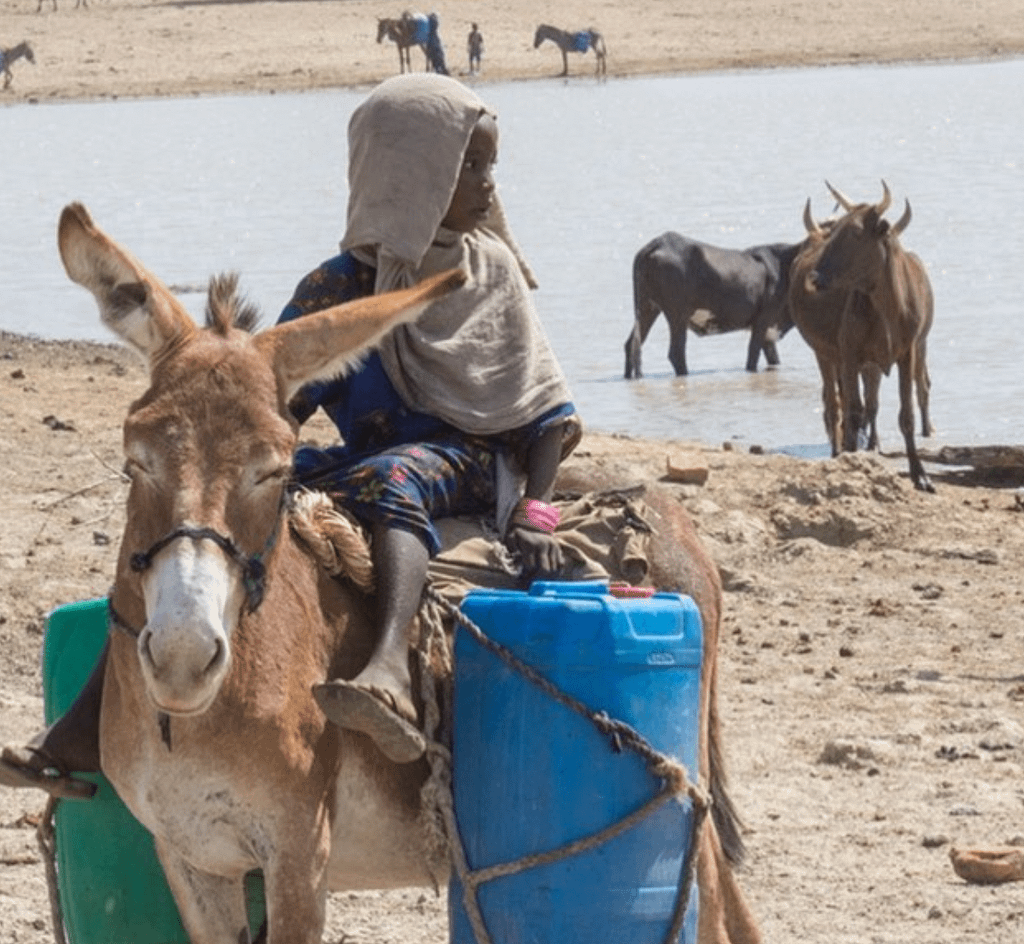 Nomad girl at waterhole