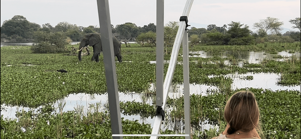 Boat safari in Malawi